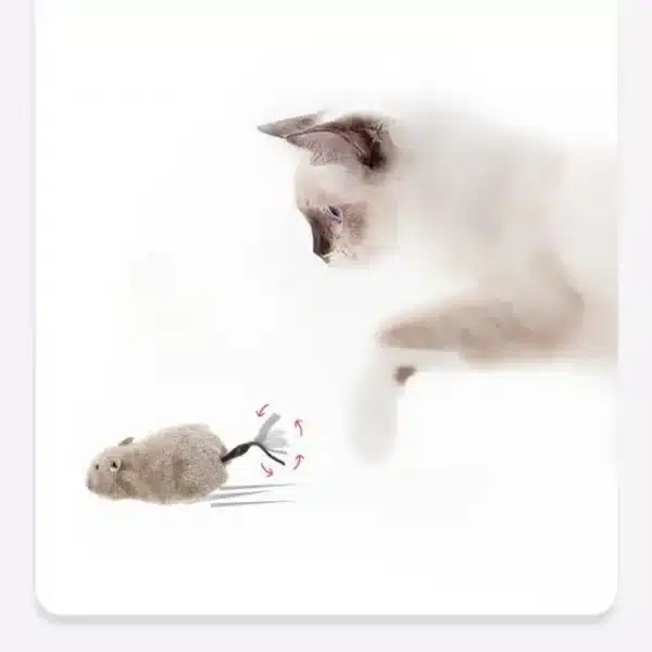 1Pc Funny Lifelike Plush Mouse Running Rat Toy for Cats Dogs Tail Mouse Pets Kids Random Color 2