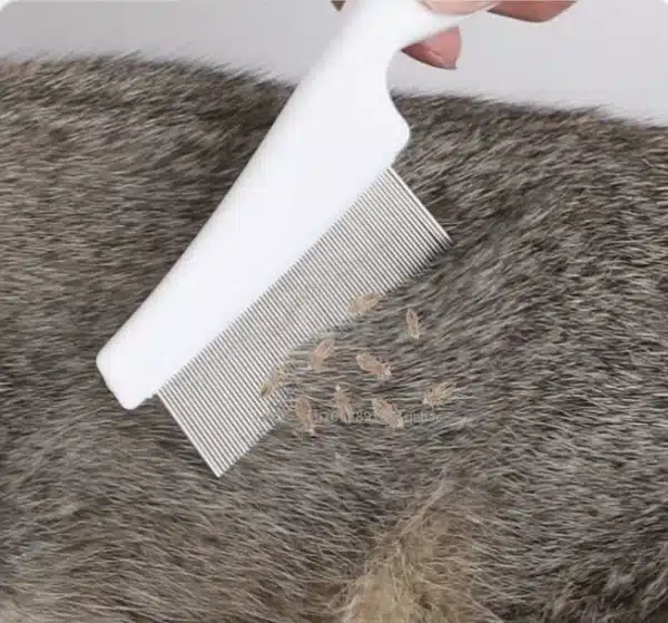 2/1pc Pet Hair Shedding Comb Stainless Steel Flea Comb for Cat Dog Pet Comfort Flea Hair Grooming Comb Dog Brush Grooming Tools 3