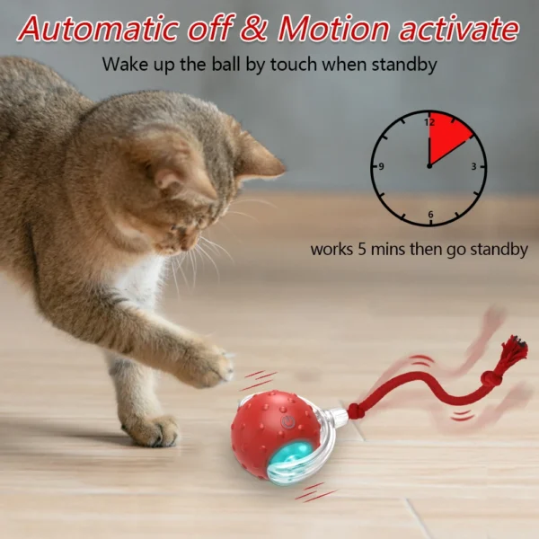 Interactive Cat Toy Ball with Bird Chirping Super Drive Cat Rolling Balls Motion Activated Sensor Pet Kittens Teaser Game Toys 3