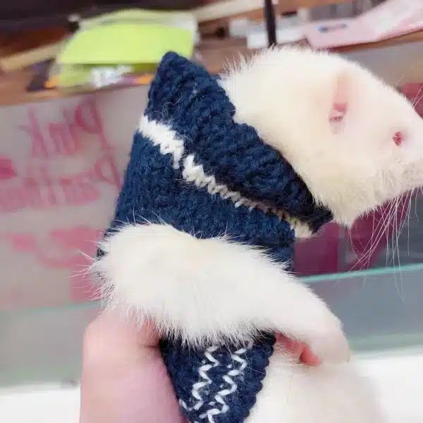 Ferret Autumn And Winter Clothes Squirrel Knitted Vest Angelo Ferret Dress Up Costume Guinea Pig Sweater Small Pet Warm Apparel 6