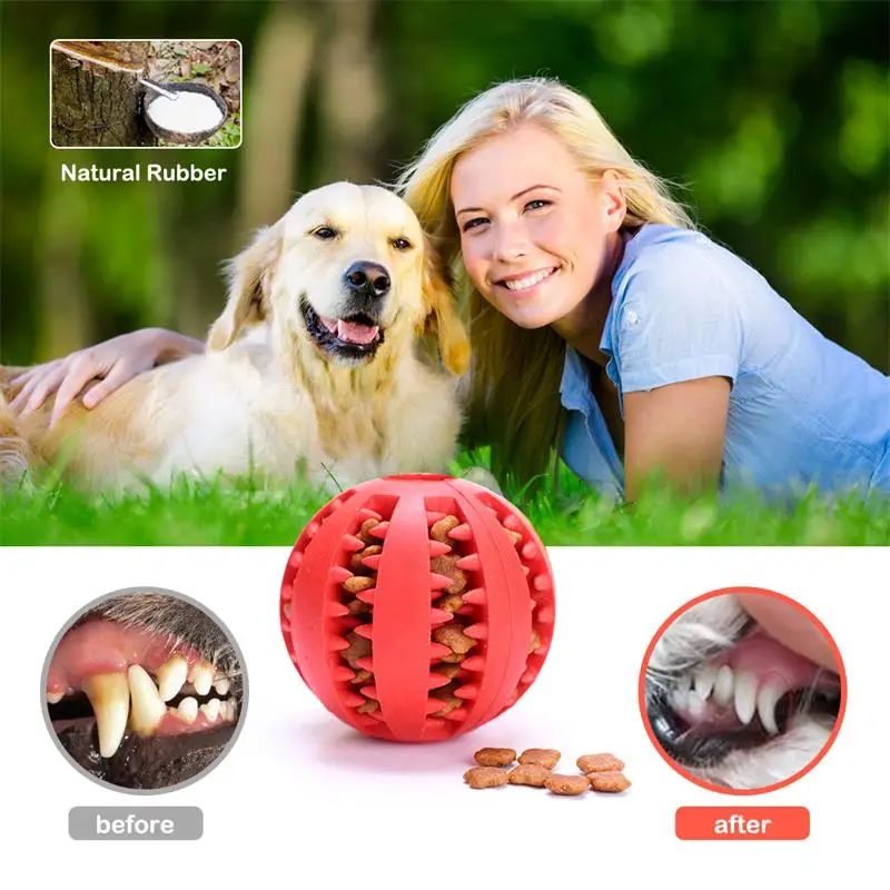 Dog Food Ball Pet Dog Toy Interactive Rubber Balls for Small Large Dogs Puppy Cat Chewing Toys Pet Tooth Cleaning 1