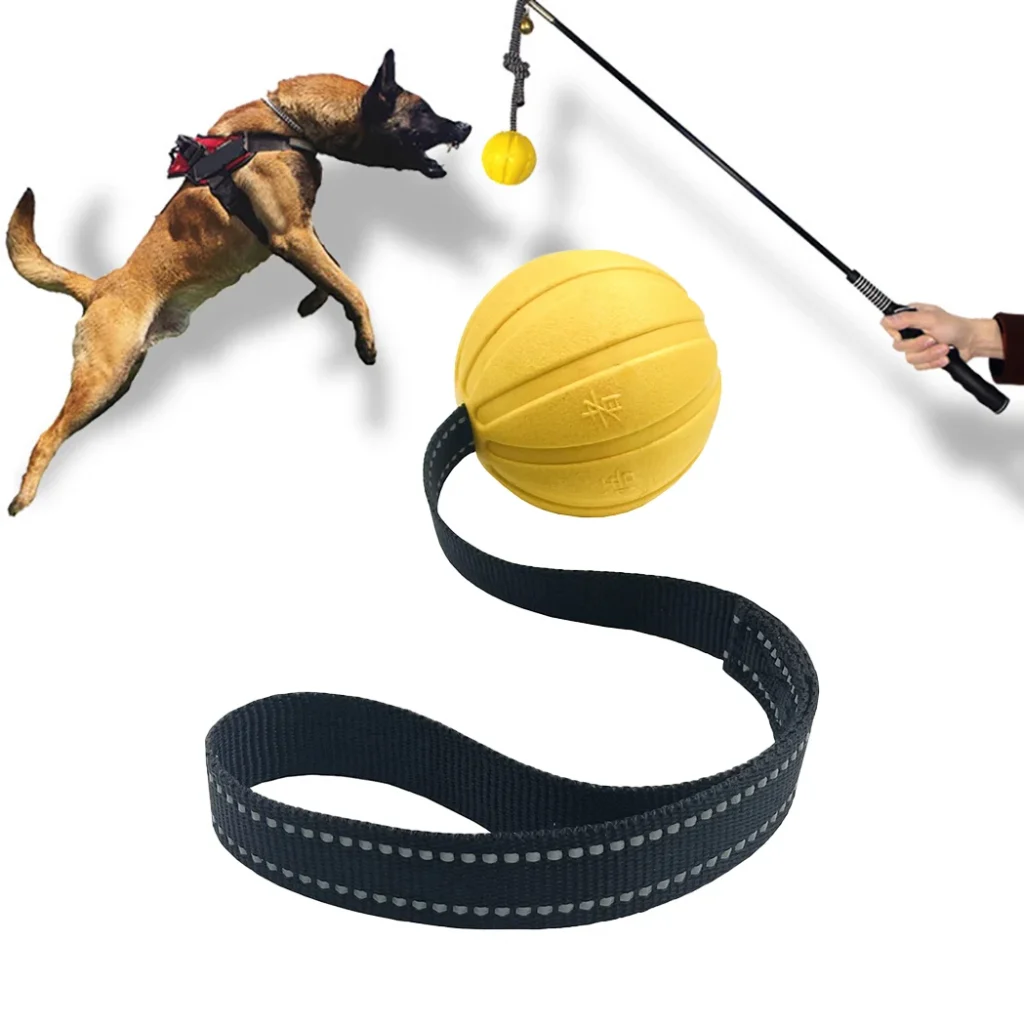 Dog Toy Balls On a Rope for Small Medium Large Dogs Chewers, Durable Interactive Ball for Training Dogs, EVA Foam Ball Floats 1