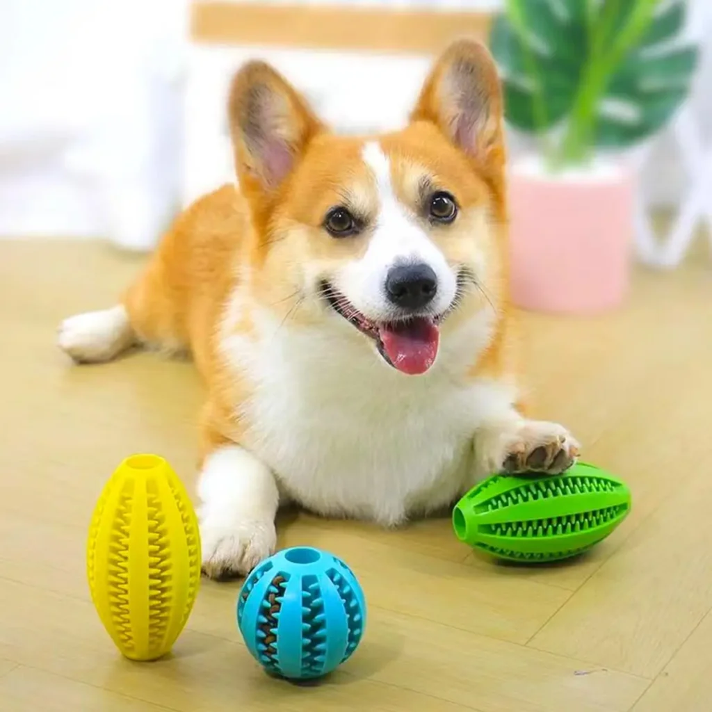 Pet Dog Chew Toys Teeth Cleaning Snack Ball Pet Dog Toy Ball Natural Rubber Super Tough Interactive Bouncy Pet Supplies 1