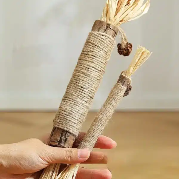 Catnip Cat Toys Natural Matatabi Pet Cat Snacks Stick Cleans Tooth Removers Hair to Promote Digestion Silvervine Kitten Chew Toy 2
