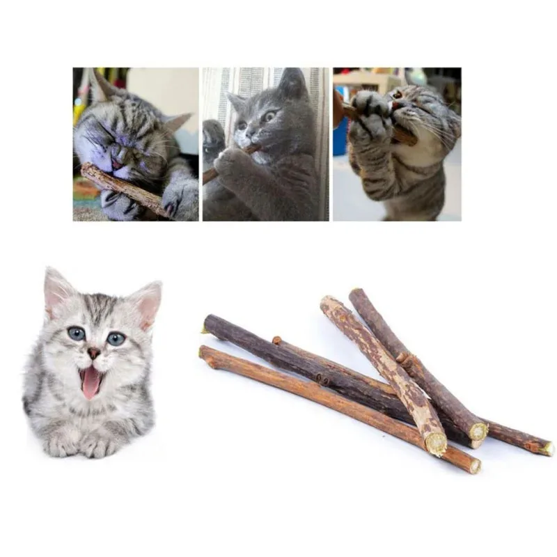 10/15/20 pcs/lot Catnip Stick Pet Cat Molar Toys Natural Wood Polygonum Sticks Cleaning Teeth Relieve Boredom Snacks Chews Toys 1