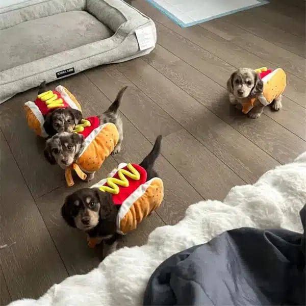 Funny Halloween Dog Costumes Hot Dog Shaped Dachshund Sausage Adjustable Clothes Pet Apparel Dressing Up Cat Party Costume Suit 2