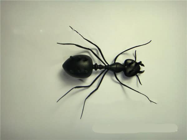 Solar Ant Baby Electronic Pet Toy - Image 2