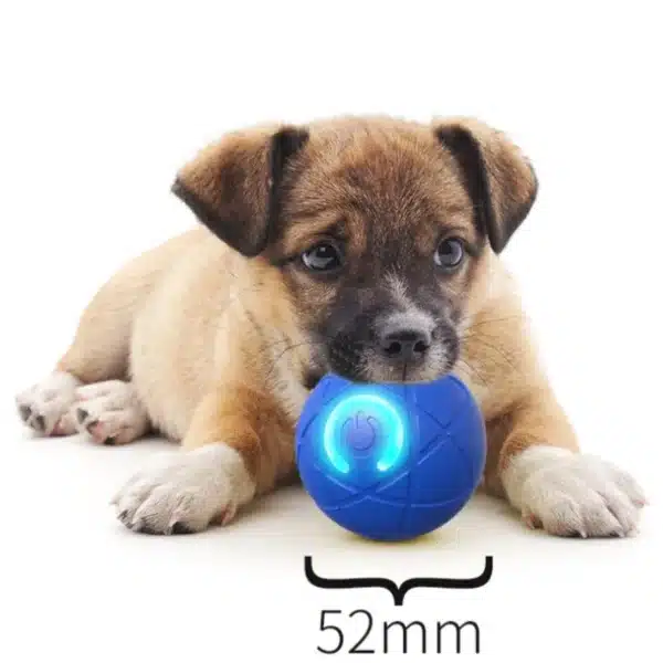 Smart Dog Toy Ball USB Automatic Moving Bouncing Ball Dog Toy Rechargeable Bite-Resistant Dog Ball Electric Interactive Pet Toy 6