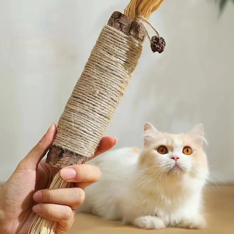 Catnip Cat Toys Natural Matatabi Pet Cat Snacks Stick Cleans Tooth Removers Hair to Promote Digestion Silvervine Kitten Chew Toy 1