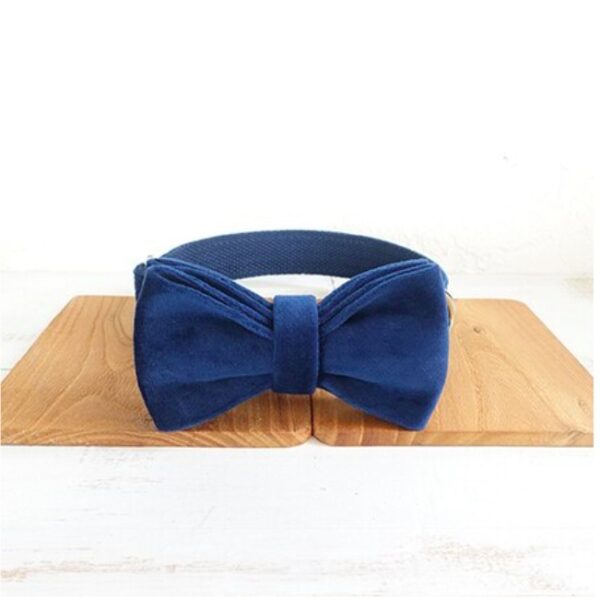Bow pet collar large and small pet traction collar dog chain - Image 7