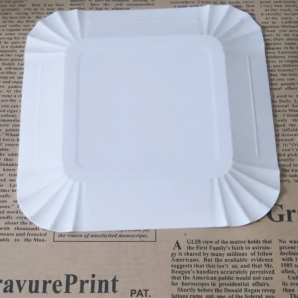 100pcs Disposable Paper Plates Square Storage Tableware Plate for Cake Dessert Fruits Snacks (White) - Image 6