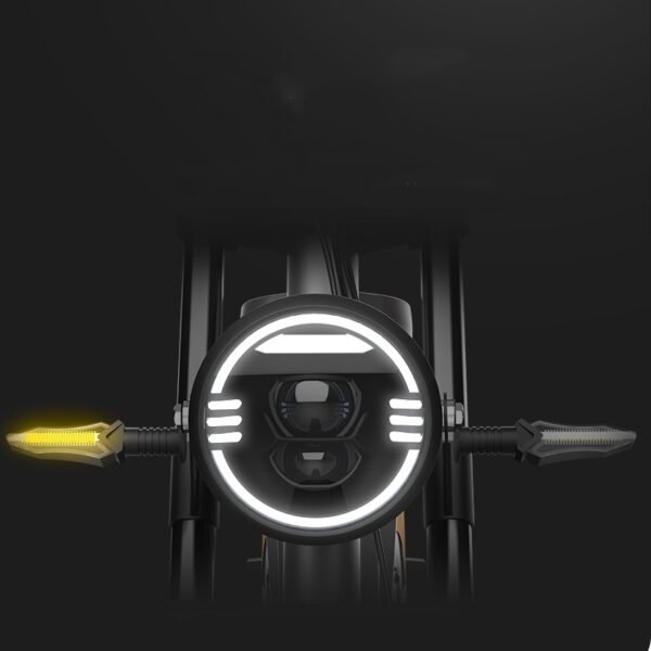 New Electric Bicycle With 20 Inch Large Tires And Seven Stage Transmission Assistance - Image 3